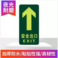 水龙珠(SHUILONGZHU)夜光通道疏散逃生紧急标志地贴 直行 5张/包 5包起订