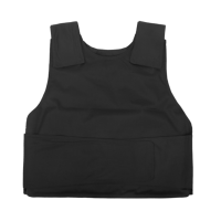 水龙珠(SHUILONGZHU)硬质防刺服 耐砍防刺背心 透气防割防刺战术背心装备马甲 内有锰钢内胆