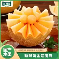 [苏鲜生]礼盒装 新鲜黄金哈密瓜 致爱密瓜 带箱7.5斤 新鲜水果黄金哈密瓜应当季网