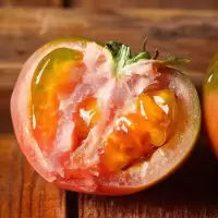 顺丰快递[西沛生鲜]丹东铁皮西红柿 1斤 精品 草莓柿子绿腚番茄自然熟生吃应季新鲜水果