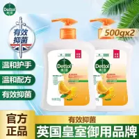 滴露Dettol健康抑菌洗手液自然清新500g*2 家用儿童宝宝清洁杀菌