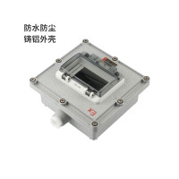 防爆16P配电箱 NC-VP27