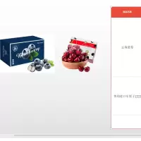 云南蓝莓+智利进口车厘子JJJJ