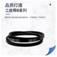 防爆皮带 B-2300L12340LW