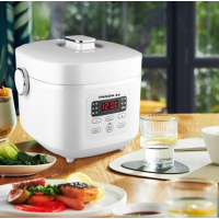 熊猫家用5L大容量轻奢轻养智能电饭煲TRFB5107-1(普通款)