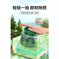 希望树除甲醛专业清除剂 GD2-YS 200g/罐 2罐