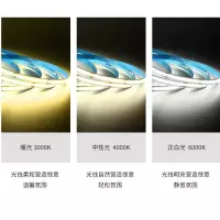 低压灯带 23A 12V 6000K 10米/卷