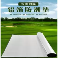铁蛙 防潮垫TW-YFCD02 多人 通用 银色200*150cm