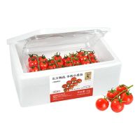 串收小番茄酸甜可口脆嫩多汁新鲜采摘2斤装