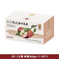 洛川苹果脆甜新鲜水果 5斤装 单果260g+