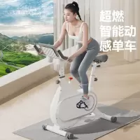宏太智能家用动感单车脚踏室内自行车健身房器材运动单车健身车 白色 HT-05SB 健身车
