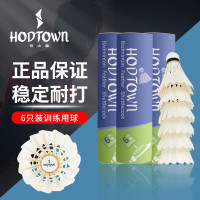 何大屋(Hodtown) 羽毛球 训练专用 飞行稳定 训练羽毛球 S450 6只装