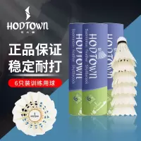 何大屋(Hodtown) 羽毛球 训练专用 飞行稳定 训练羽毛球 S450 6只装