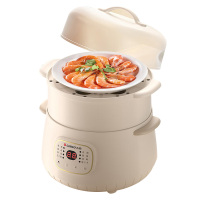 志高(CHIGO) YK-DDGZ10 电炖锅 1L(台)
