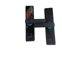 彬睿入户门智能指纹锁带遥控