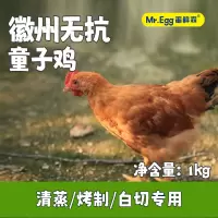蛋鲜森徽州无抗童子鸡 单只装1000g±50g/只 整鸡净膛 顺丰直发 清蒸白切专用