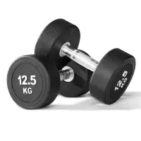 践程 健身哑铃 15KG