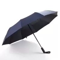 Diplomat外交官自开收晴雨伞DFJ-605