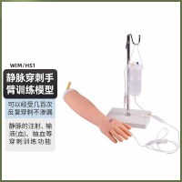 知能 WIM/HS1静脉穿刺注射训练手臂模型动静脉穿刺训练模型 肌肉注射训练模型 输液训练模型带输液架