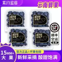 顺丰快递[苏鲜生推荐]紫约蓝莓 云南高山蓝莓 个头饱满 4盒 125g/盒 单枚15mm+ 口感甜蜜 宝宝辅食