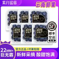 顺丰快递[苏鲜生推荐]紫约蓝莓 云南高山蓝莓 个头饱满 6盒 125g/盒 单枚22mm+ 口感甜蜜 宝宝辅食