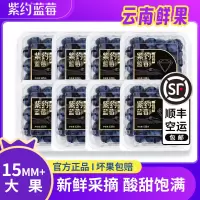 顺丰快递[苏鲜生推荐]紫约蓝莓 云南高山蓝莓 个头饱满 8盒 125g/盒 单枚15mm+ 口感甜蜜 宝宝辅食