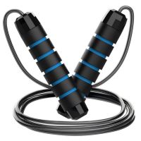 戎胜达 钢丝跳绳健身训练跳绳竞速跳绳 蓝色3米 4377