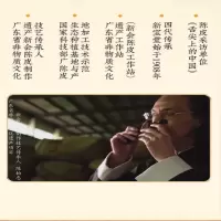 新宝堂5年陈皮盒装50g*4