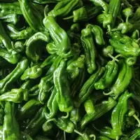 陇椒( 新鲜)