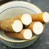 毛山药( 新鲜)