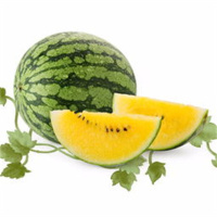 奶香蜜瓜(新鲜)
