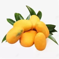 小台芒(新鲜)