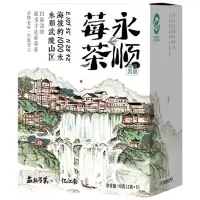 忆江南果茶永顺莓茶免洗茶芽尖青味回甘正宗永顺莓茶联名款10g