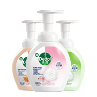 滴露泡沫抑菌洗手液 儿童宝宝除菌洗手液 抑菌99.99%玻尿酸泡泡洗手液西柚250ml*2+青柠250ml*2