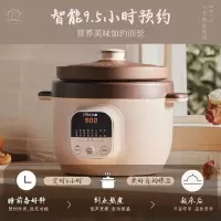 小熊(Bear)紫砂锅电炖锅电砂锅家用电炖盅5L大容量内胆煲汤 DDG-D50N1