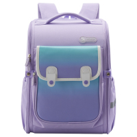 爱华仕(OIWAS) OCB5027 双肩包 20L(个) 紫色