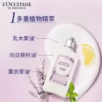 欧舒丹白色薰衣草沐套装礼盒薰衣草沐浴露250ml 薰衣草身体乳250ml