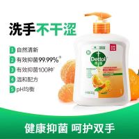 滴露自然清新型健康抑菌洗手液500g(1)瓶