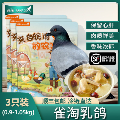 [苏鲜生推荐]雀淘 新鲜现杀乳鸽3只装 300-350g/只 原粮鸽子肉土鸽子肉鸽煲汤滋补