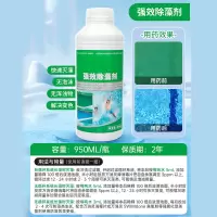 勇威(YW) 水质净化处理剂泳池清洁剂 950ml-强效除藻剂