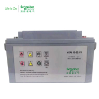 施耐德电气 阀控式密封铅酸蓄电池 M2AL12-65SFR 节