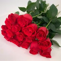 伊晖晟 单头玫瑰鲜花 18支/组 指定颜色仅支持按组选择