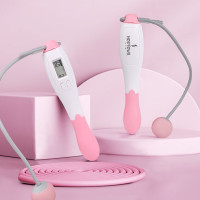 何大屋(Hodtown) HDW1711中考训练学生儿童钢丝计数跳绳子男女健身运动 计数跳绳