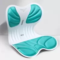 墨斗鱼 矫姿坐垫蓝绿色9233