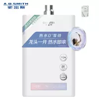 A.O.史密斯佳尼特16升燃气热水器JSQ31-XTJ