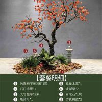 仿真柿子树许愿树落地假树橱窗装饰造景 10棵起售