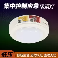 A型智能消防应急吸顶灯DC36V集中电源控制灯