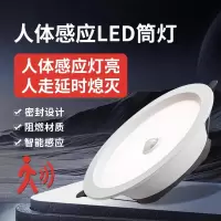 led智能声控人体感应筒灯嵌入式