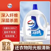 威露士消毒液衣物除菌液机洗手洗杀菌大桶装洗衣消毒液3.6L清新