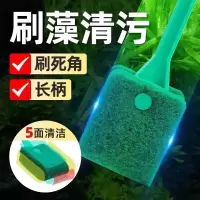 鱼缸清洁刷子长柄无死角清洗神器清理工具洗擦玻璃内壁水族箱缸擦3759A